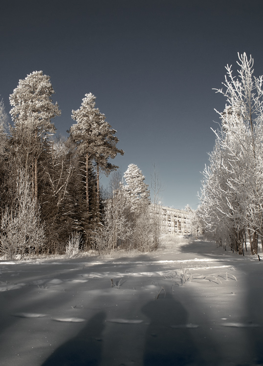 фото "С сыном" метки: пейзаж, зима