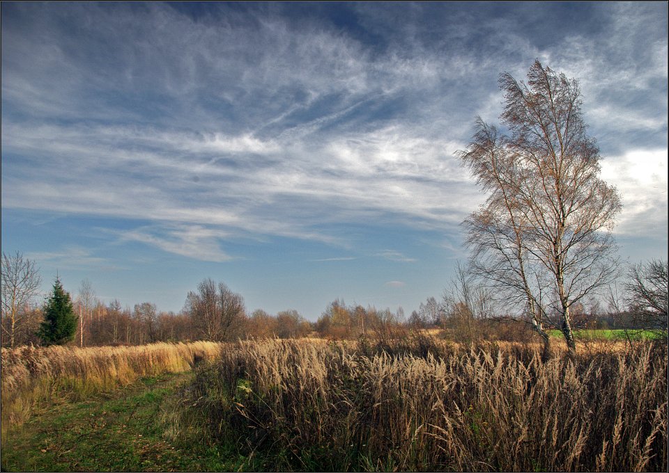 photo "Wind of Autumn" tags: landscape, autumn