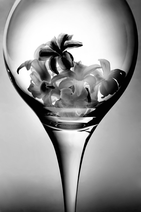 фото "Этюд с бокалом и цветами" метки: черно-белые, натюрморт, 