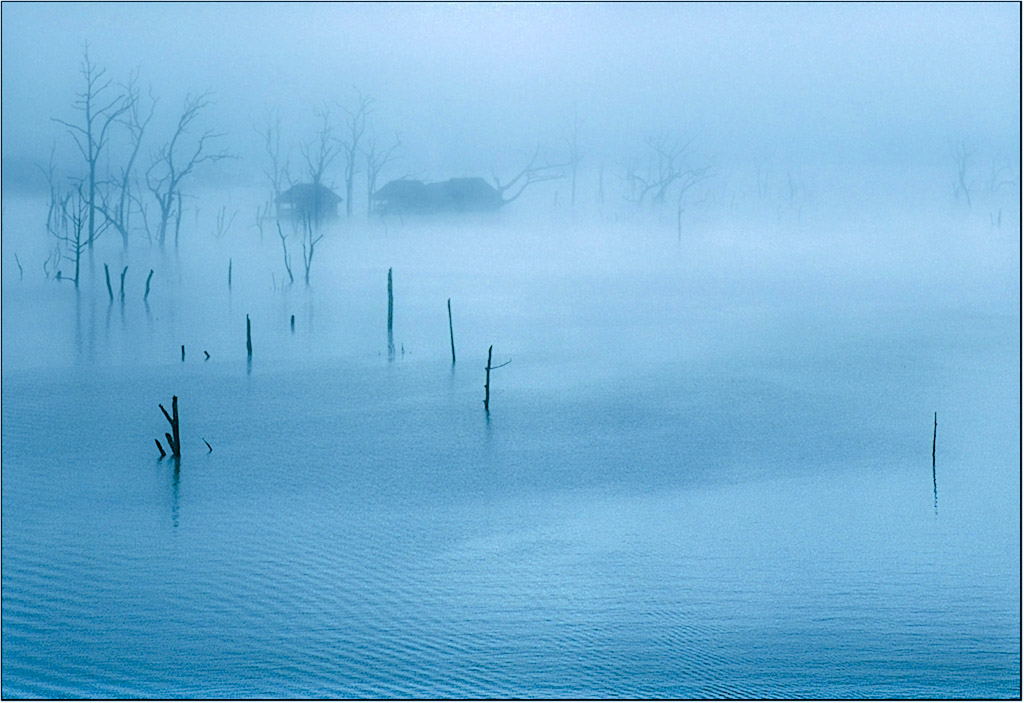 photo "Misty River" tags: landscape, water