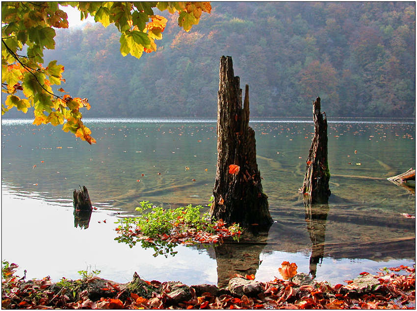фото "Реквием" метки: пейзаж, вода, осень