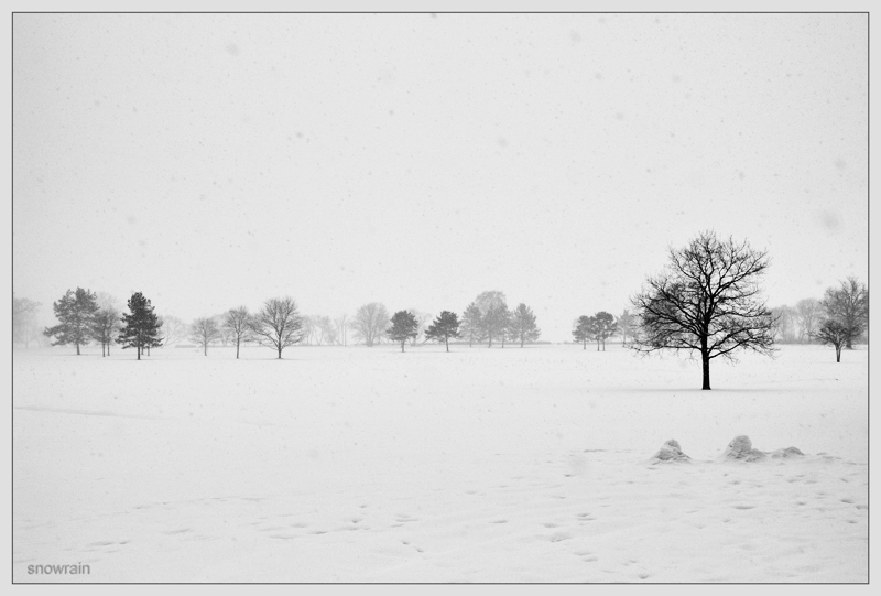 photo "snow cover" tags: landscape, black&white, winter