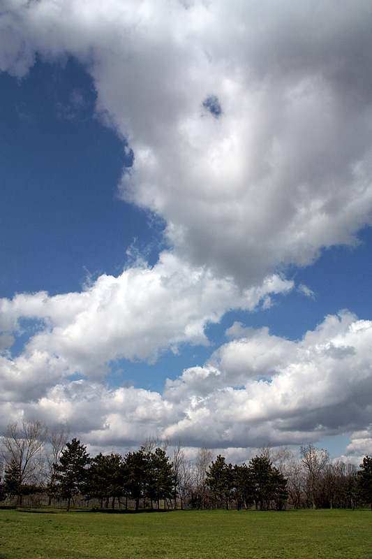 photo "Voice of Spring" tags: landscape, clouds, spring