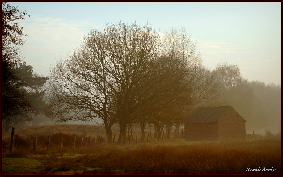 фото "misty day" метки: пейзаж, зима
