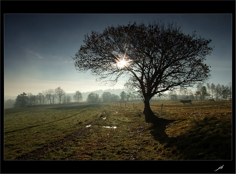 фото "Cold melancholy" метки: пейзаж, горы