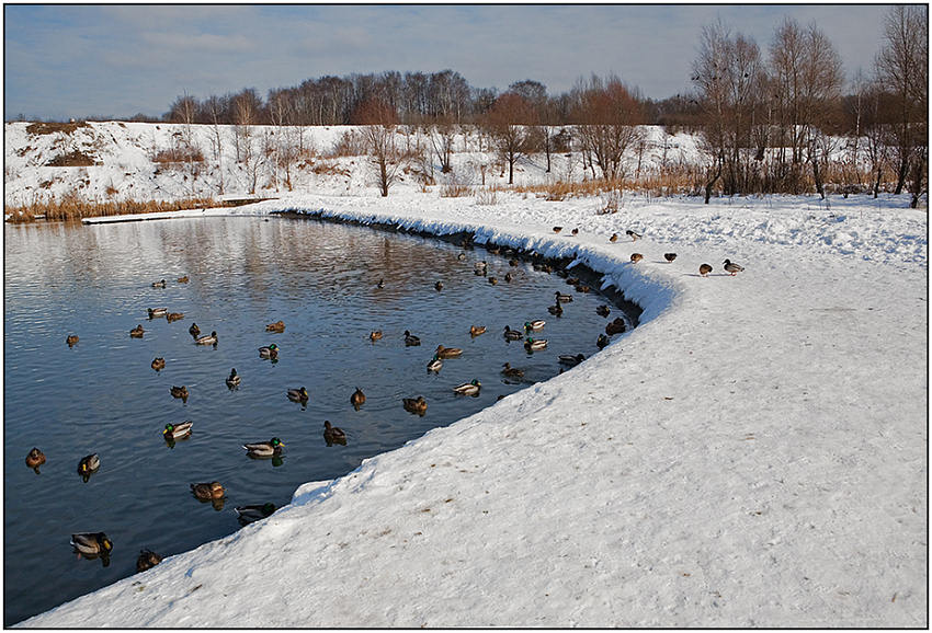 фото "Весеннее настроение" метки: пейзаж, весна, вода
