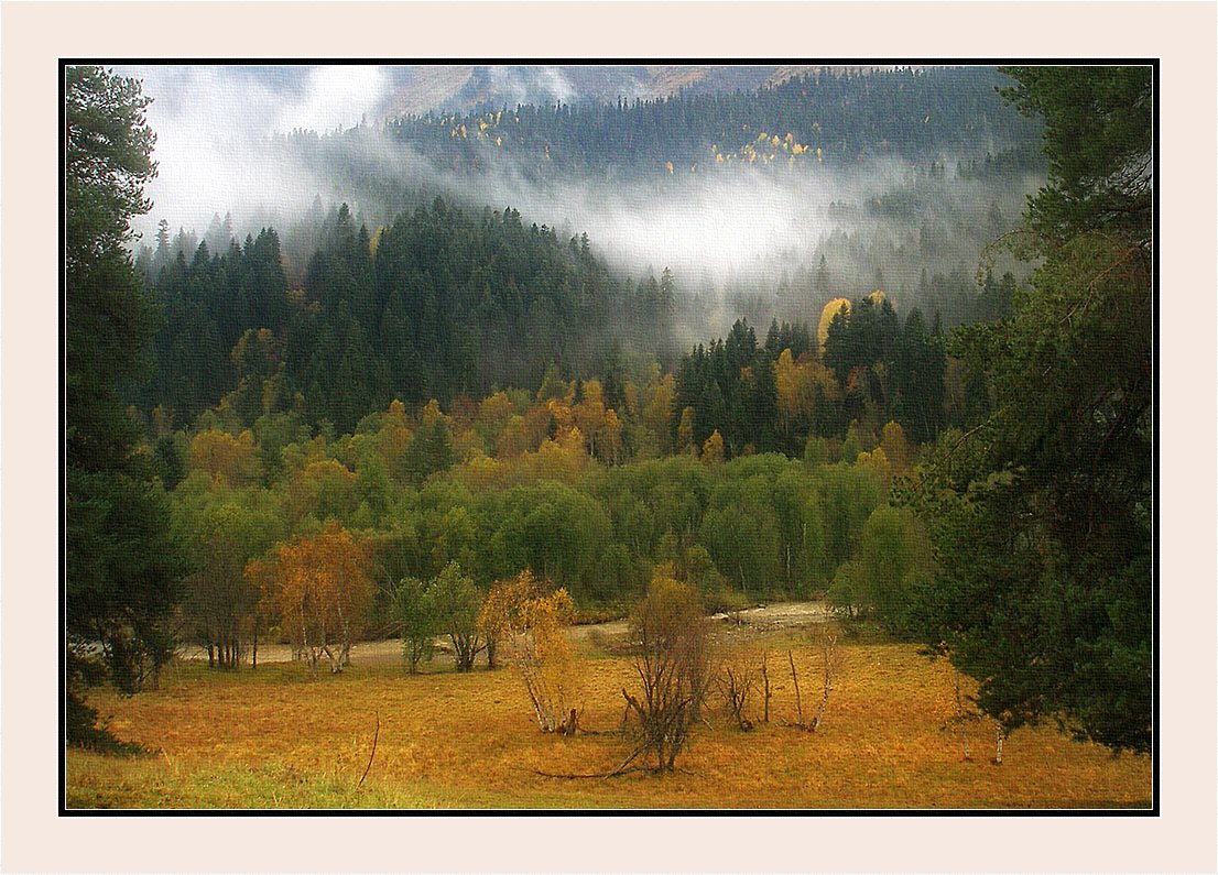 фото "Непогода в горах, непогода..." метки: пейзаж, лес