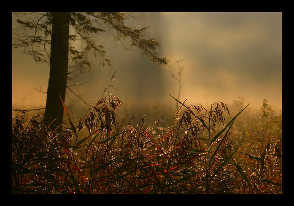 фото "Landscape_993" метки: пейзаж, осень