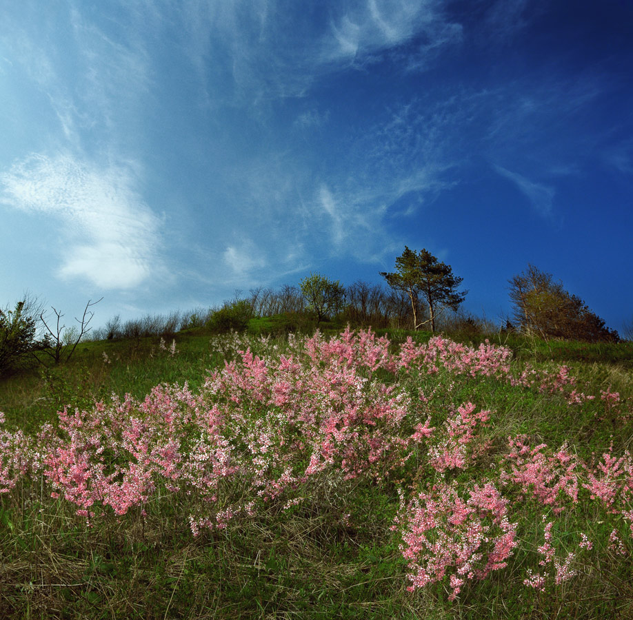 фото "Дорога в небо" метки: пейзаж, 