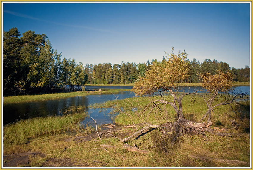 photo "What sky blue..." tags: landscape, autumn, water