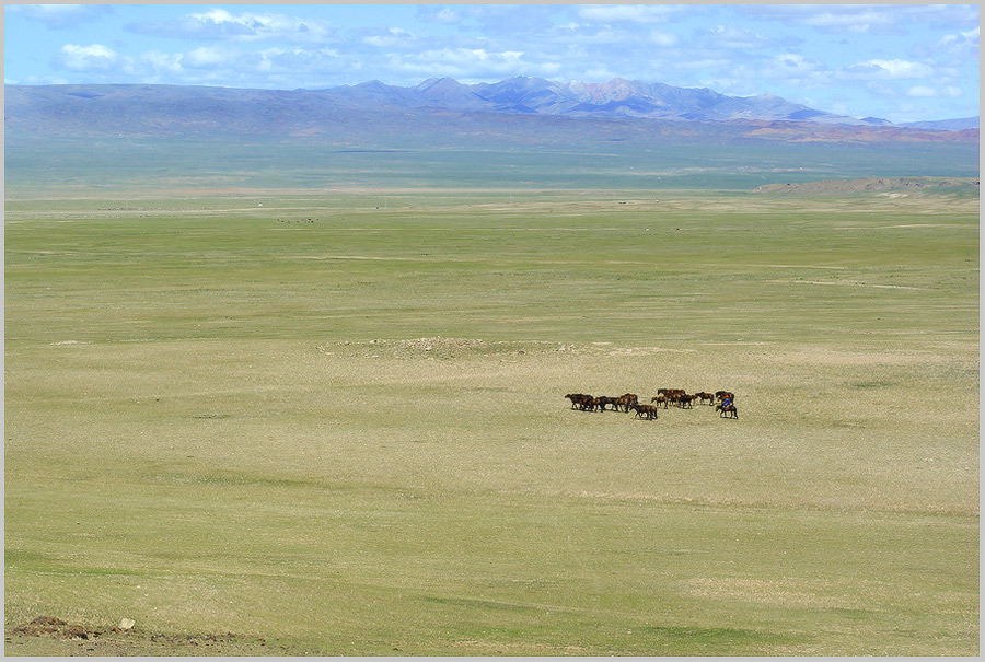 photo "The steppe (Mongoliya)" tags: landscape, summer