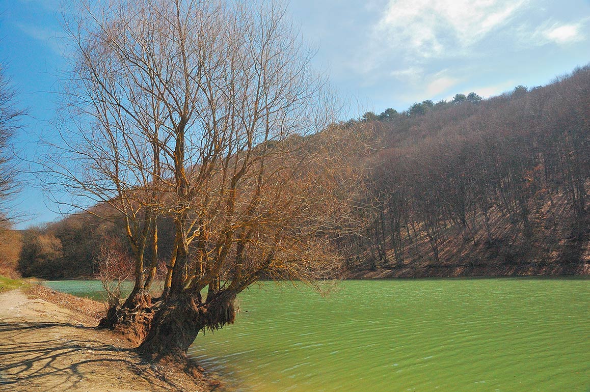 photo "***" tags: landscape, forest, water