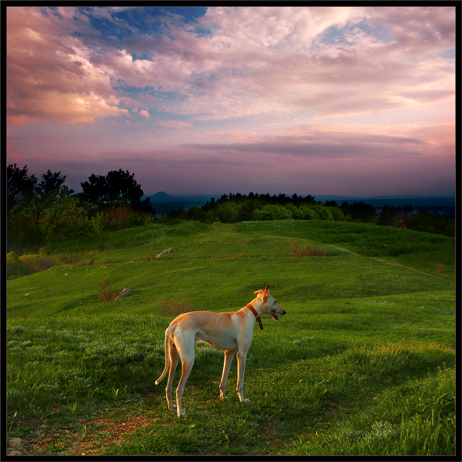 photo "Walk on sundown" tags: landscape, sunset