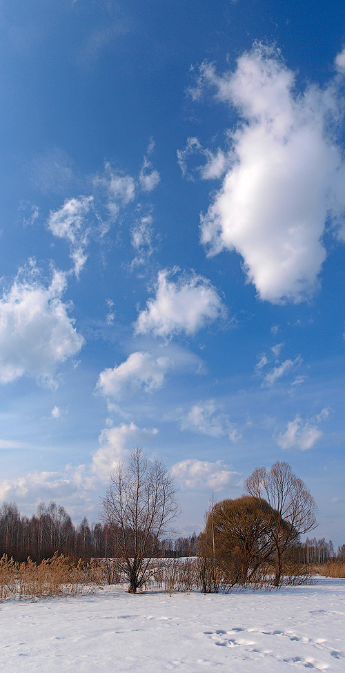 photo "***" tags: landscape, winter