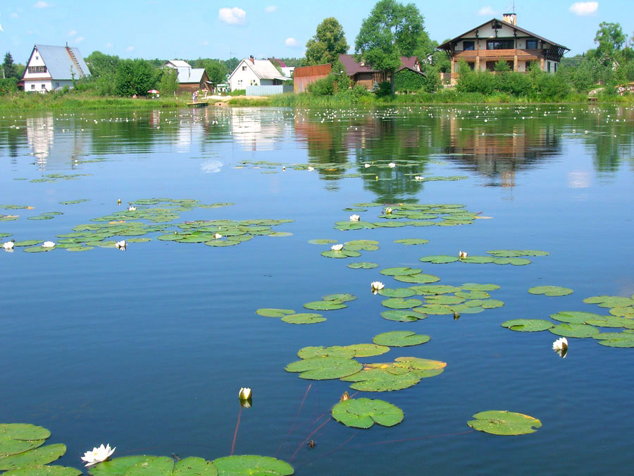 photo "***" tags: landscape, summer, water