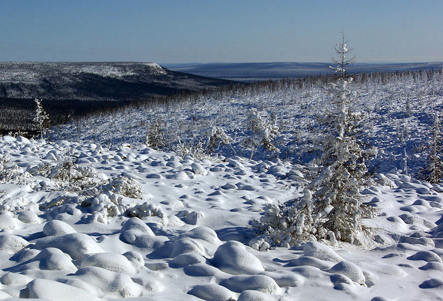 photo "***" tags: landscape, forest, winter