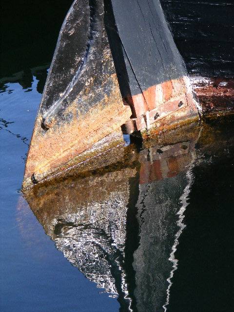 photo "Reflection-" tags: , 