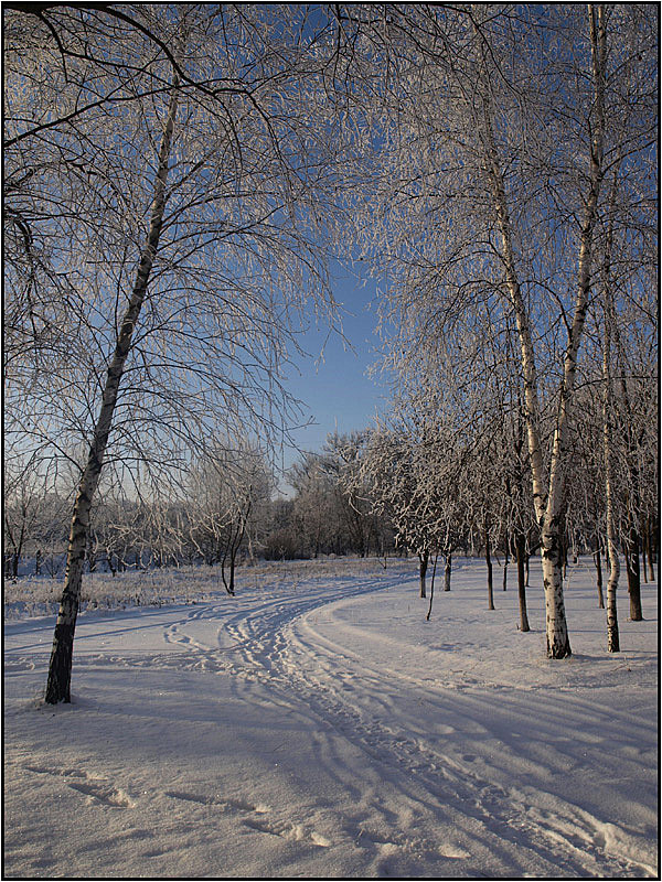 photo "***" tags: landscape, winter