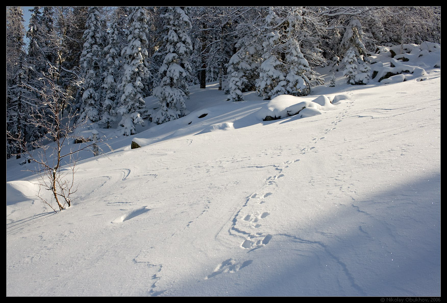 photo "April etude / 0159_0007" tags: landscape, forest, mountains