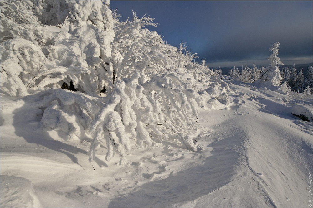 photo "0190_0075" tags: landscape, forest, winter