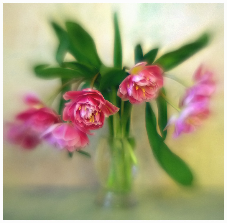 photo "***" tags: nature, still life, flowers