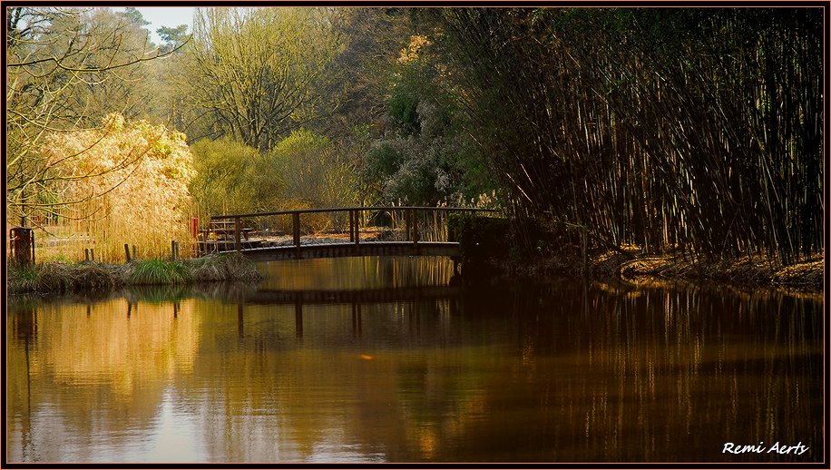 фото "the bridge" метки: пейзаж, весна, вода