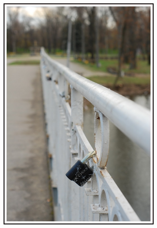 photo "***" tags: genre, 