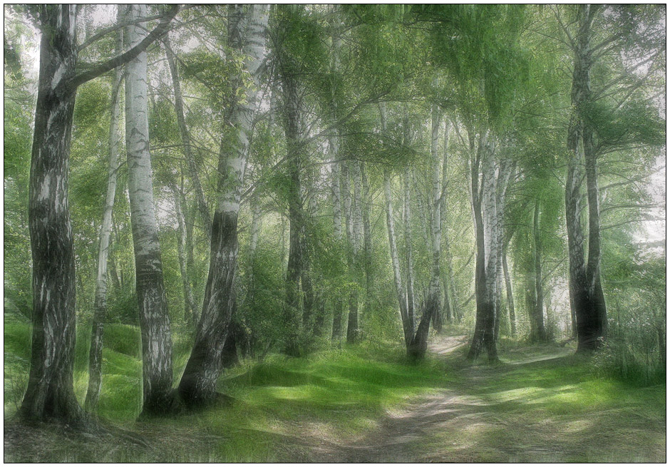 photo "Spring mood" tags: landscape, forest, spring