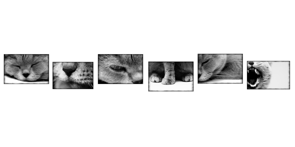 photo "Parts" tags: nature, pets/farm animals