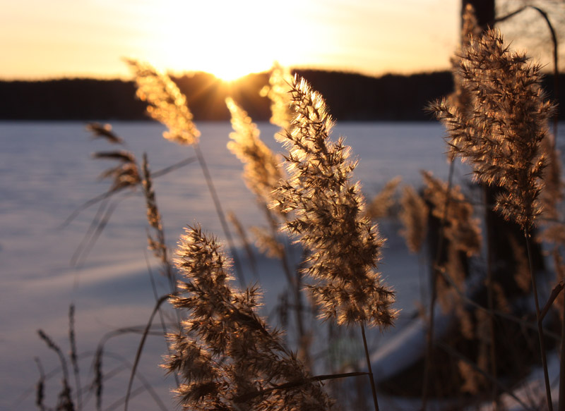 photo "***" tags: landscape, sunset, winter