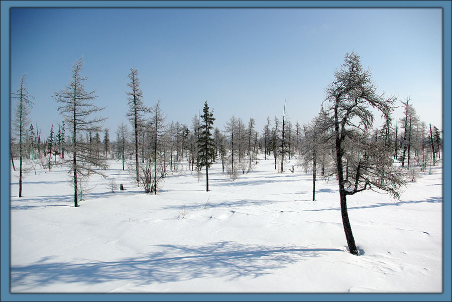 photo "April" tags: landscape, summer, winter