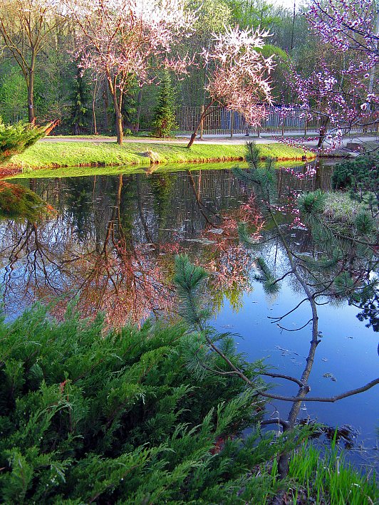 photo "***" tags: landscape, spring, water