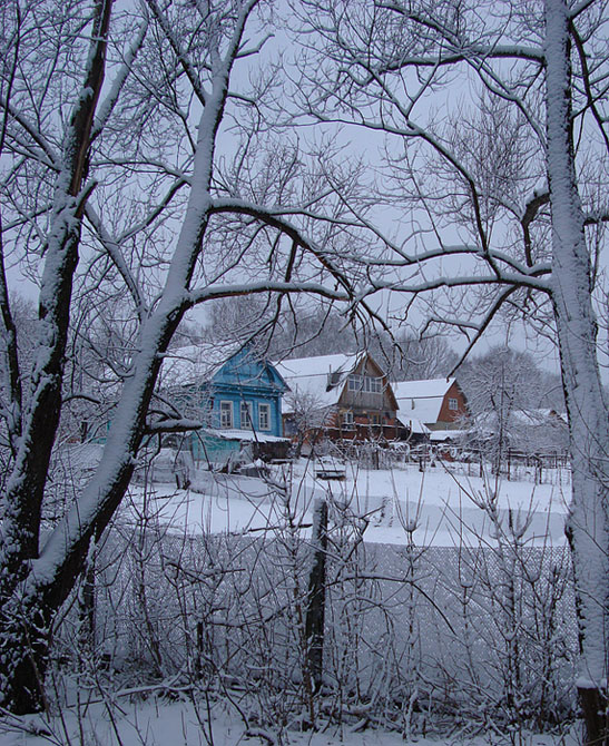 photo "Spring magic" tags: landscape, spring