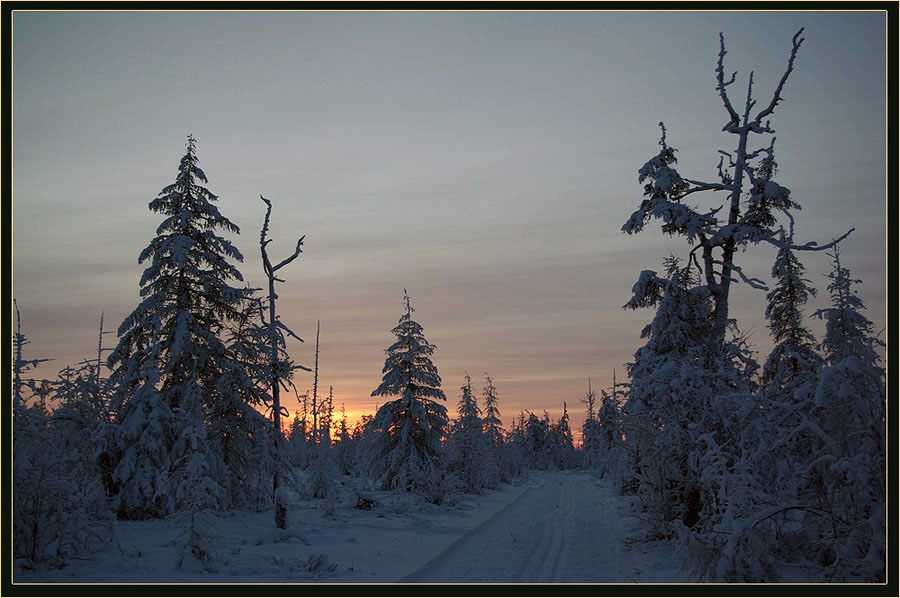 фото "Путь к закату" метки: пейзаж, зима, лес