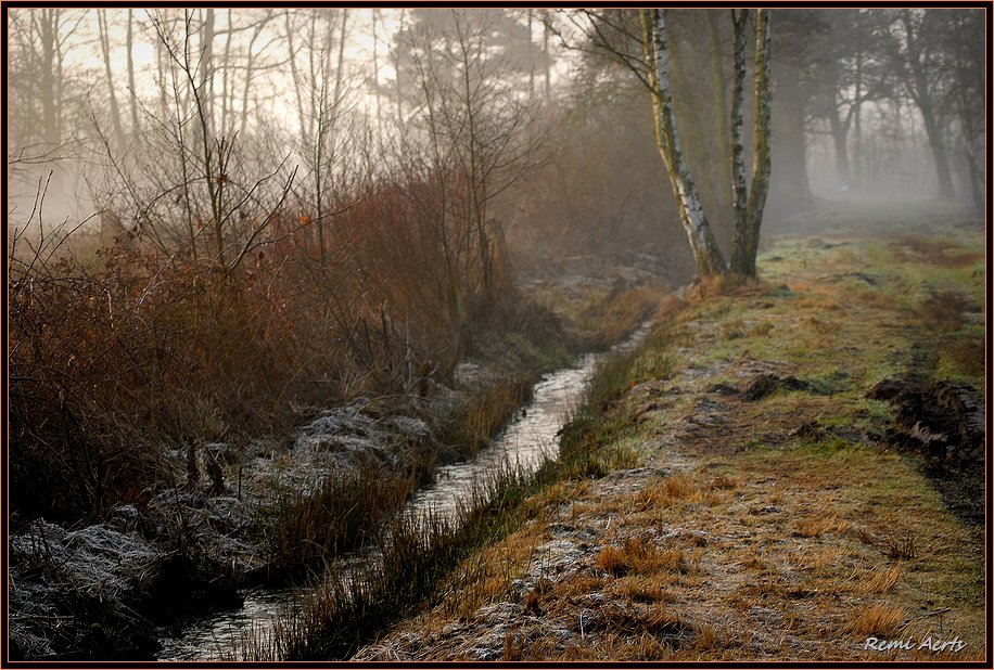 photo "frozen morning" tags: landscape, winter