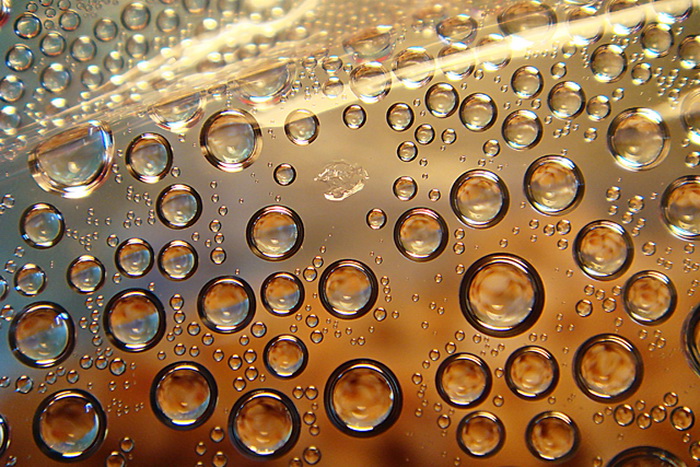 photo "***" tags: macro and close-up, 