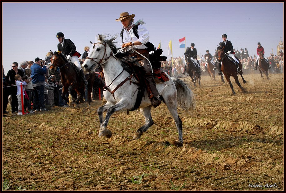 фото "horses run" метки: пейзаж, природа, весна, домашние животные