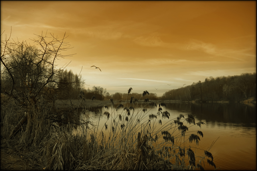 photo "***" tags: landscape, 