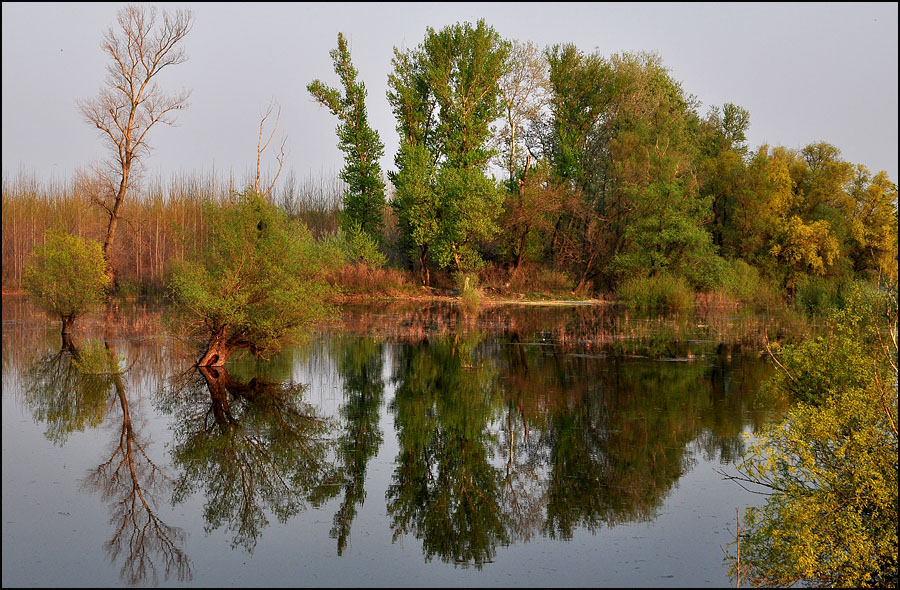 photo "***" tags: landscape, 
