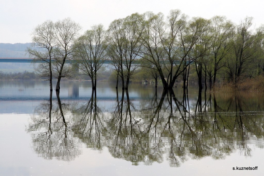 фото "Симметрия  разлива" метки: пейзаж, весна, вода