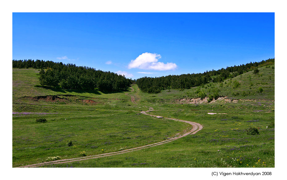 photo "Road" tags: landscape, forest