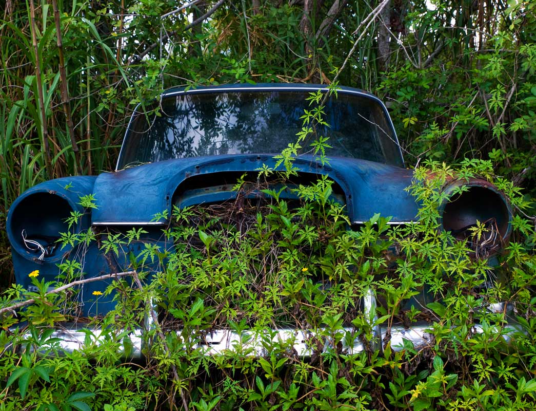 photo "A car from  my dreams" tags: , 