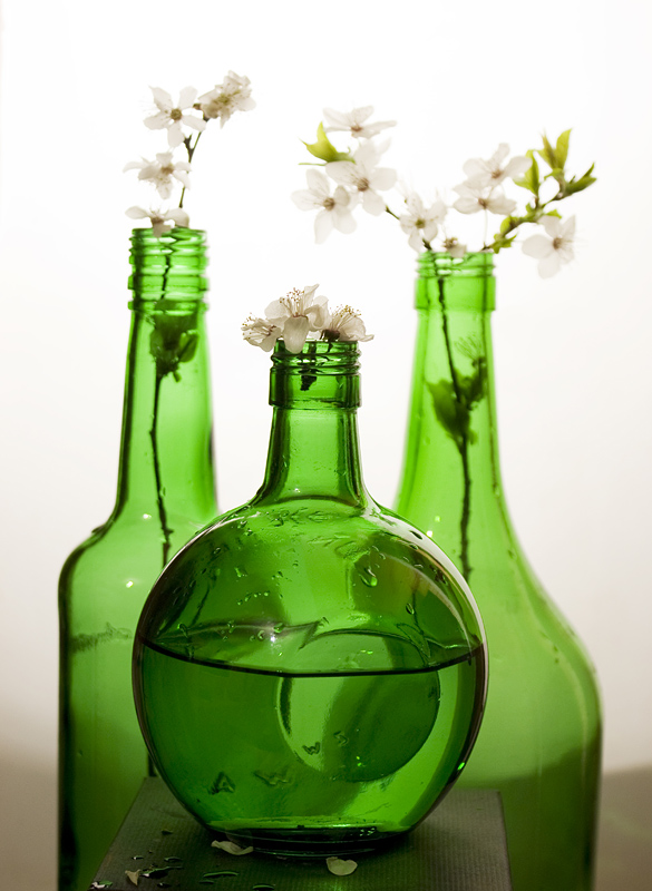 photo "Spring transparence 2" tags: still life, 
