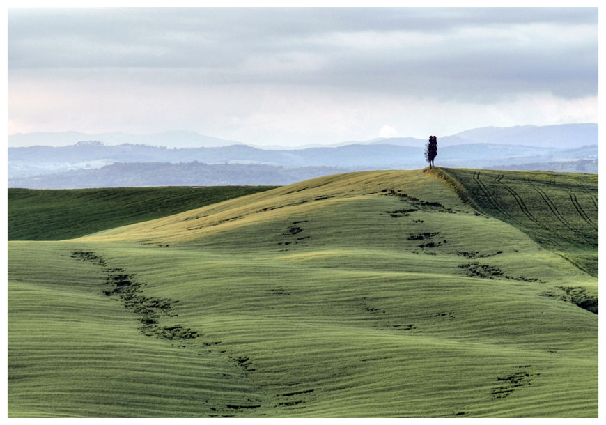 photo "Toscana 100" tags: landscape, summer