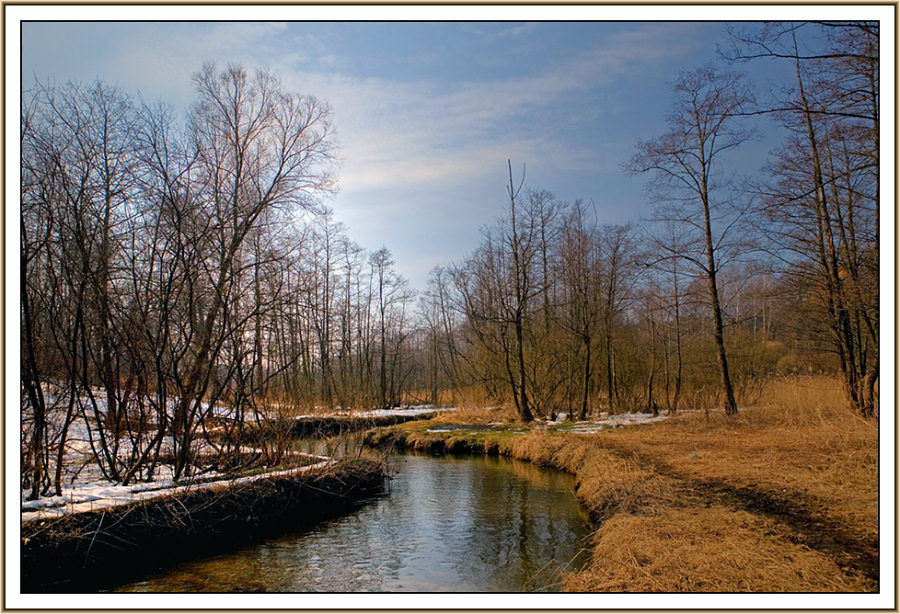 photo "12.04.2009" tags: landscape, spring, water