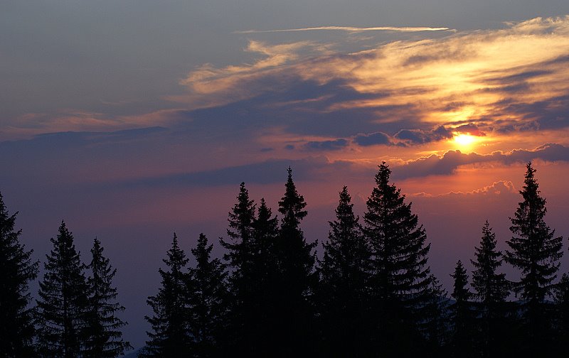 photo "***" tags: landscape, sunset