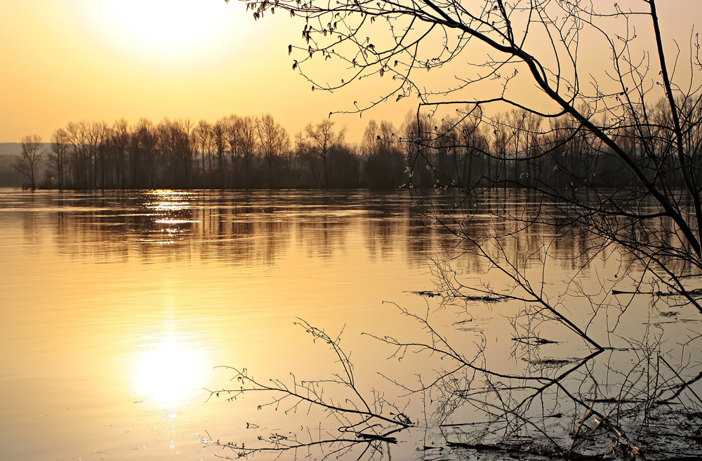 photo "***" tags: landscape, sunset, water