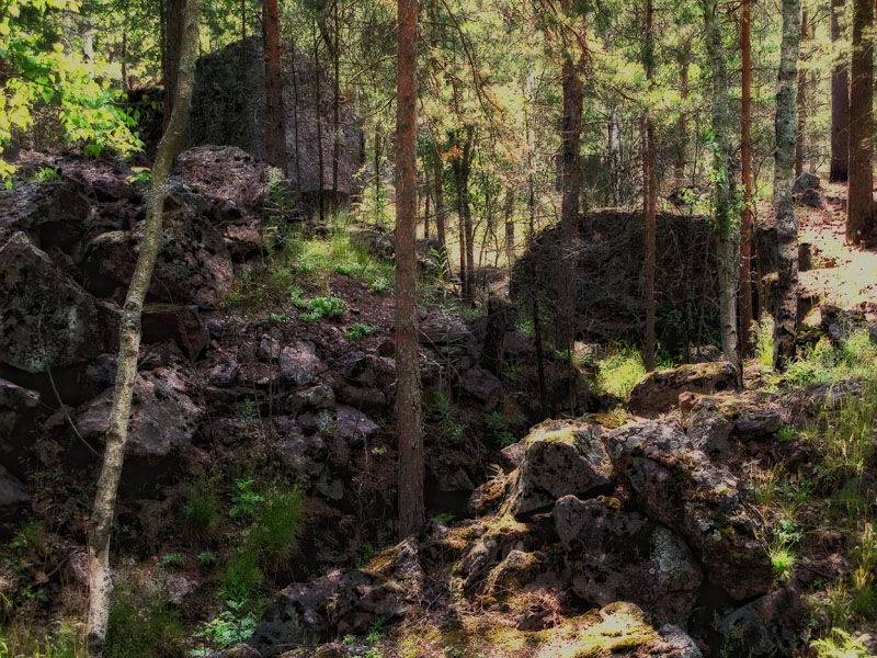 photo "***" tags: landscape, forest