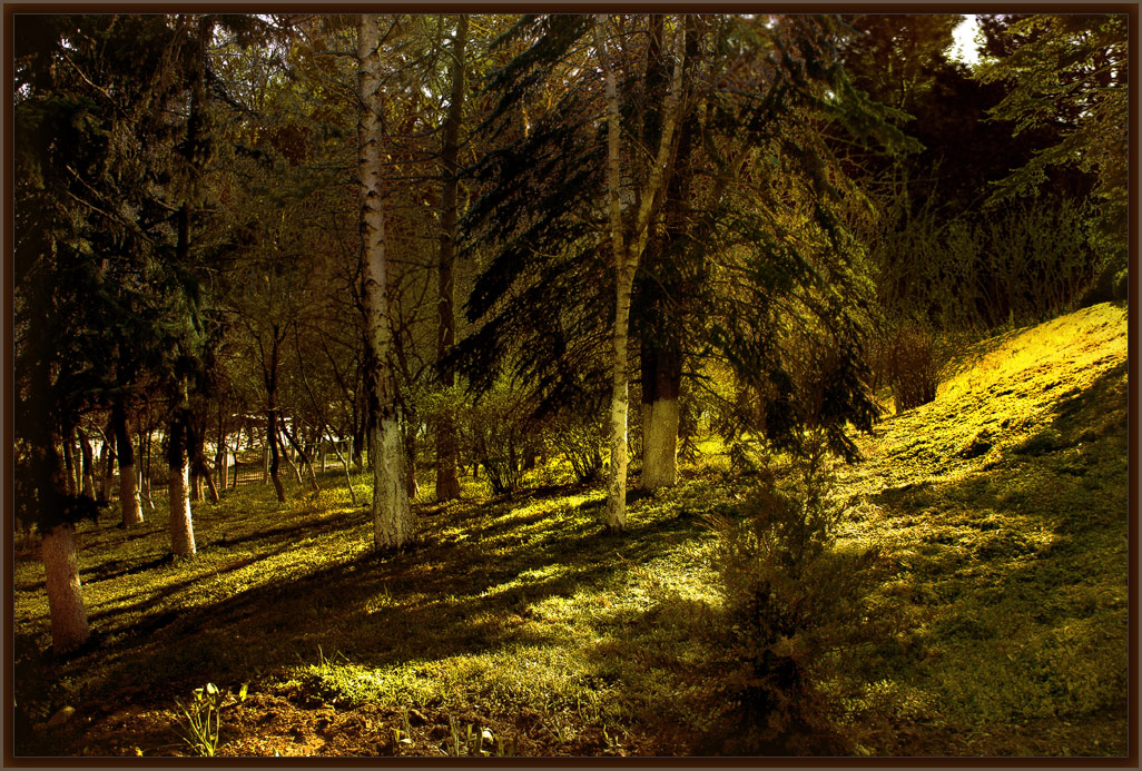 photo "Calm cozy corner" tags: landscape, 