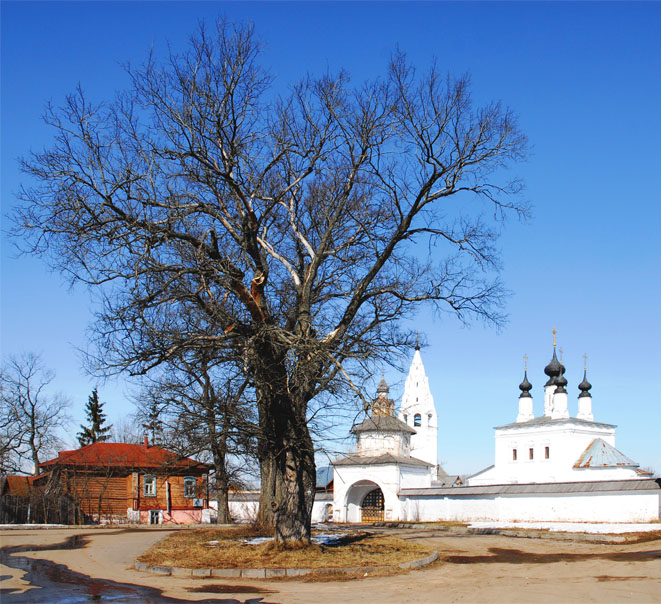 фото "Деревья" метки: архитектура, пейзаж, 